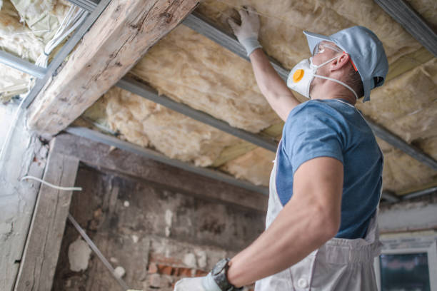 Best Geographic-Specific Insulation Services in Holmes Beach, FL