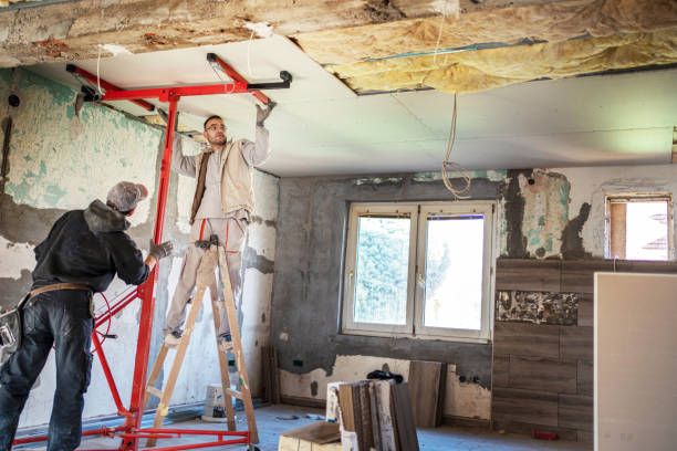 Best Blown-in Insulation in Holmes Beach, FL