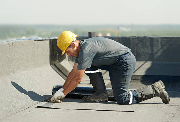 Best Commercial Insulation in Holmes Beach, FL