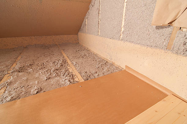 Best Cellulose Insulation in Holmes Beach, FL