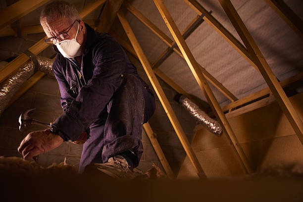 Types of Insulation We Offer in Holmes Beach, FL